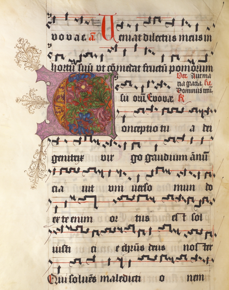 Cod-1181_191v