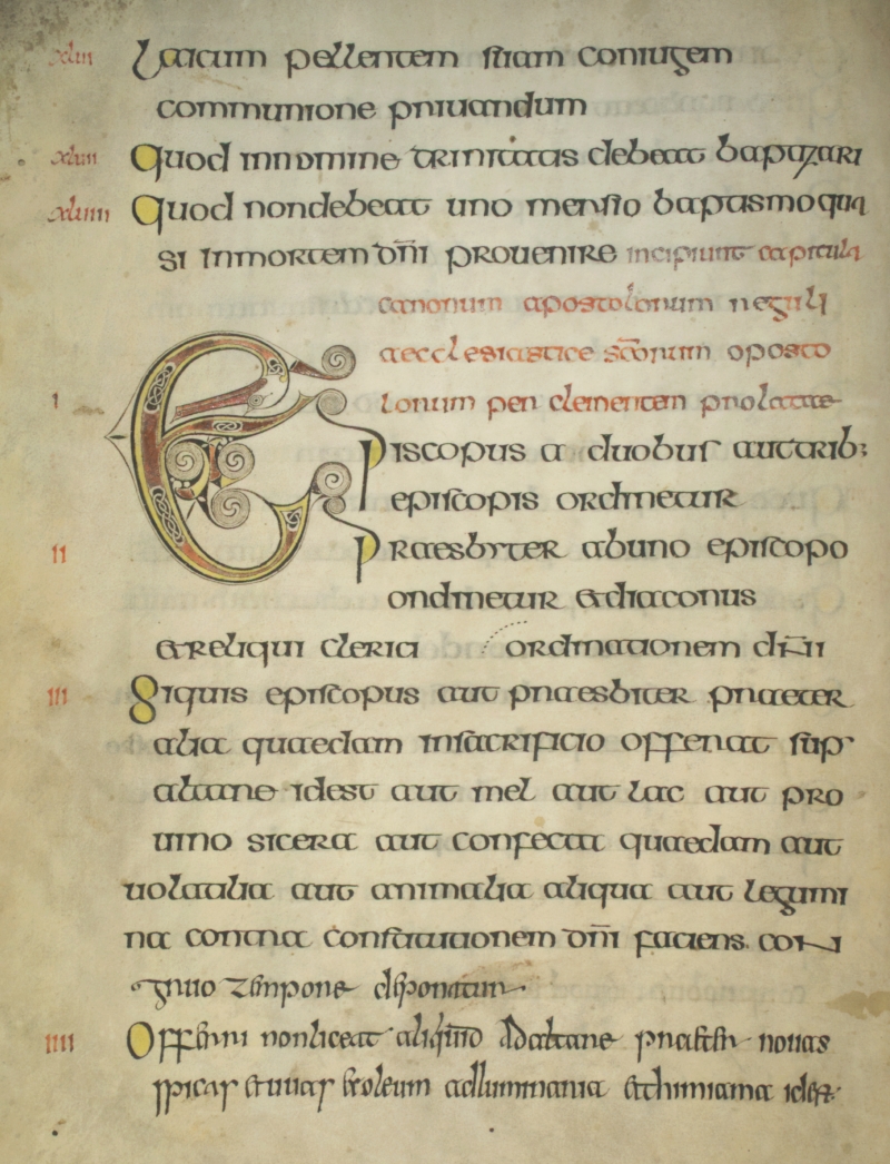 Cod-213_004v