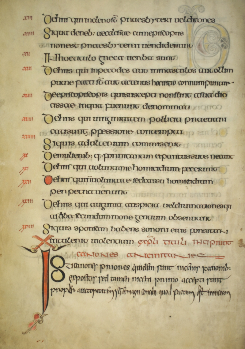 Cod-213_019v