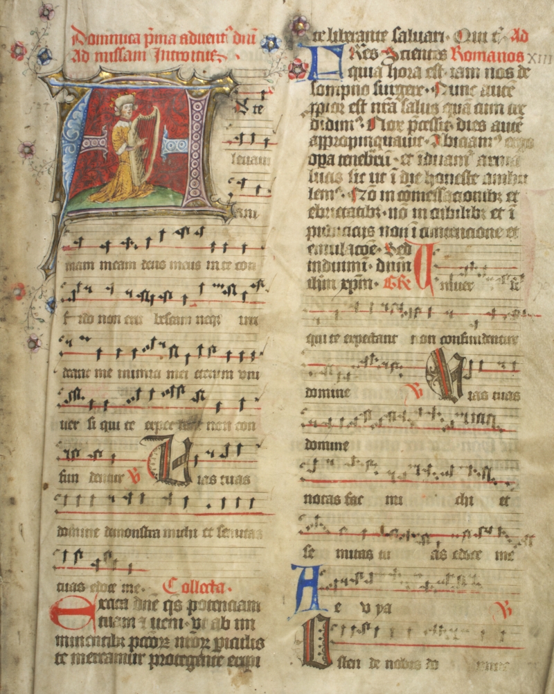 EDDB_Cod-261_001r_800