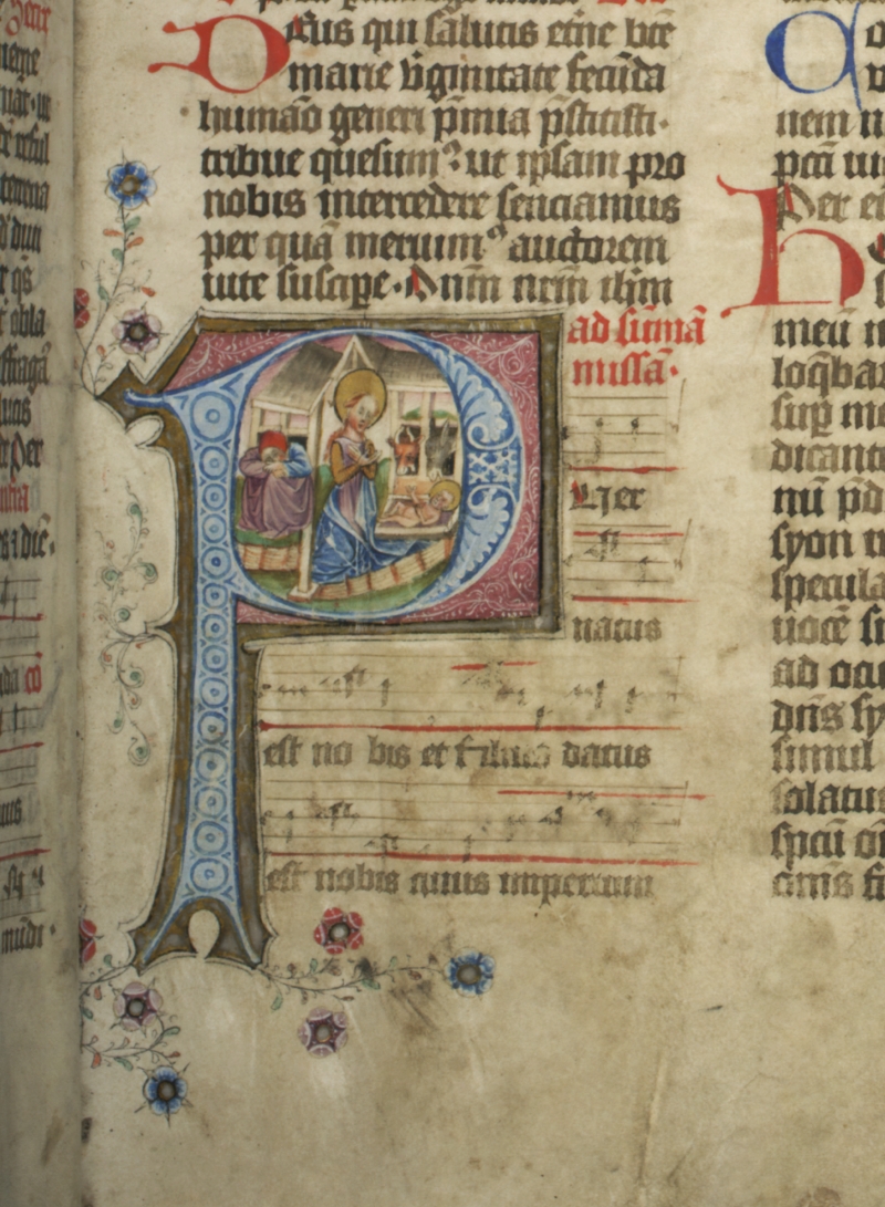 EDDB_Cod-261_016r_800