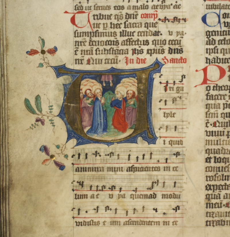 EDDB_Cod-261_127v_800