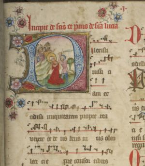 EDDB_Cod-261_195r_Detail