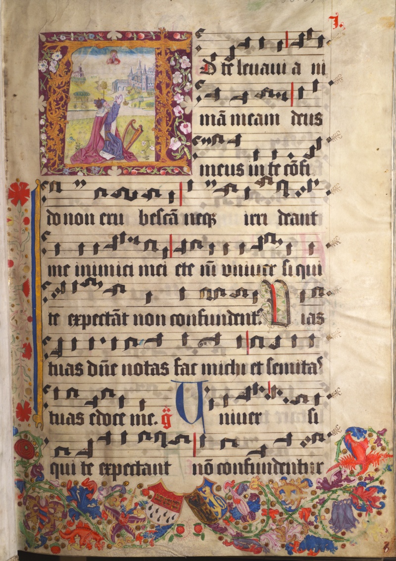 02_Cod-1519_001r_800