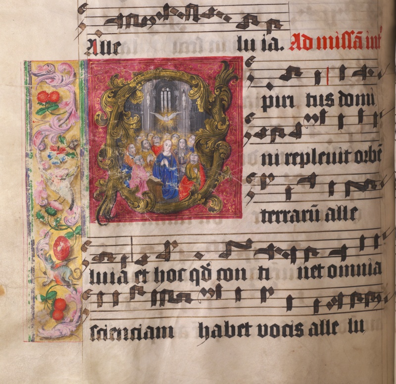 05_Cod-1519_133v_800