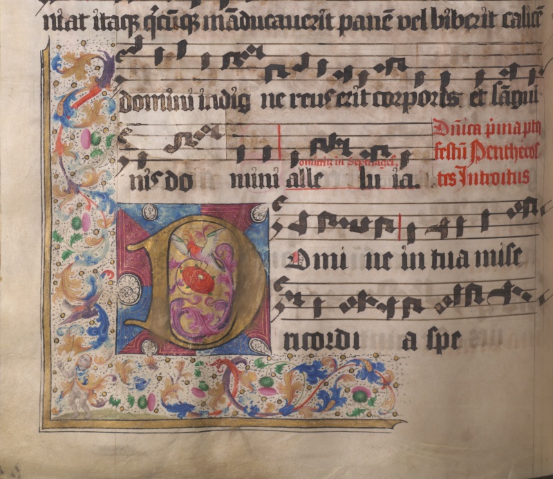 06_Cod-1519_141v_800