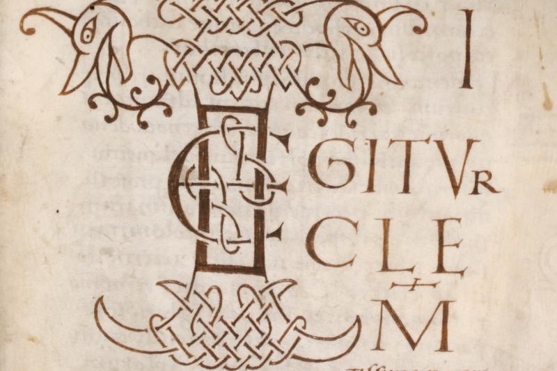 EDDB_Cod-0137_002r_Detail-klein