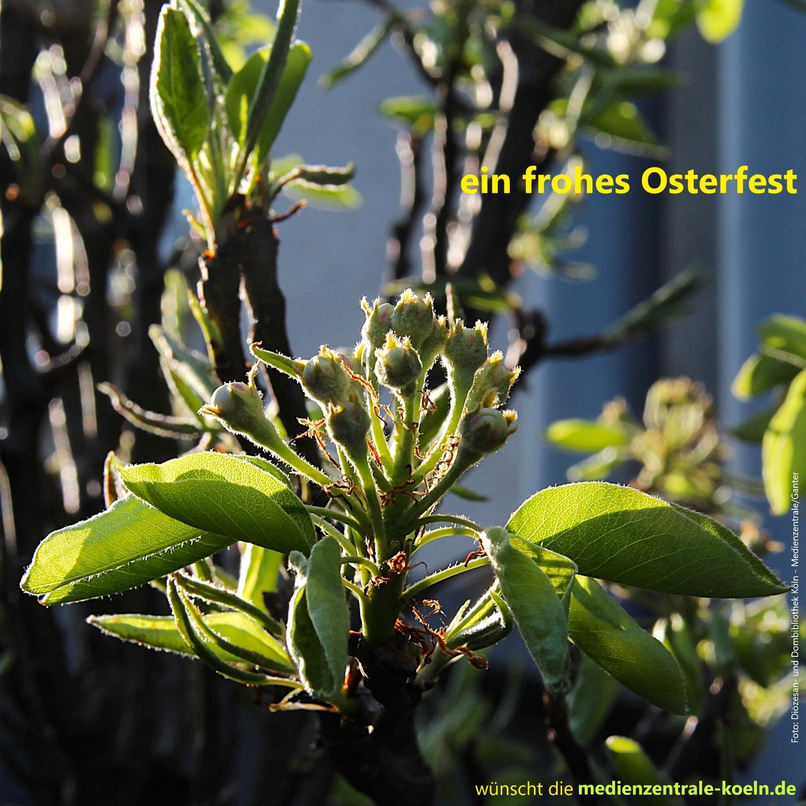 Frohe Ostern!