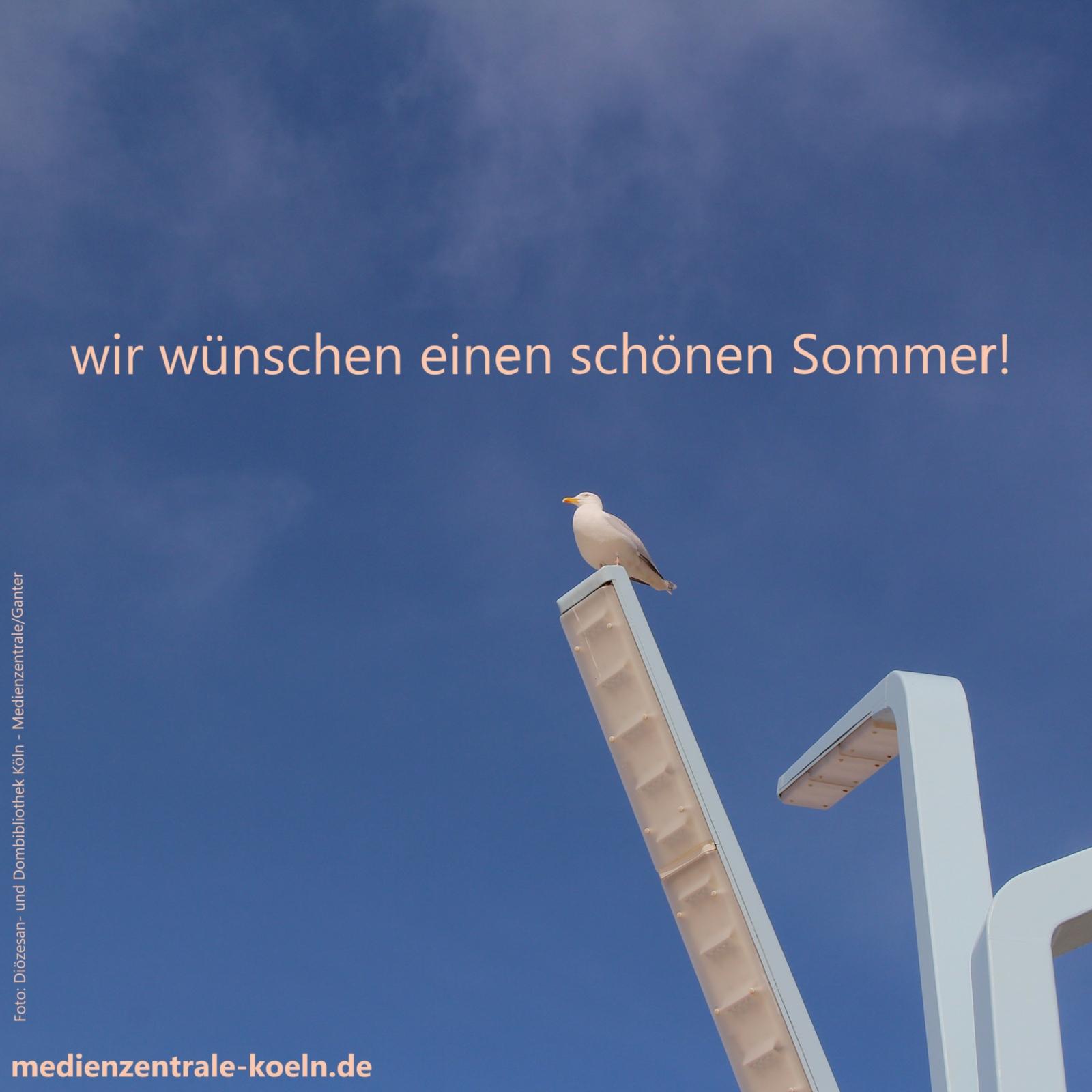 Sommer-1_Moewe_Scheveningen